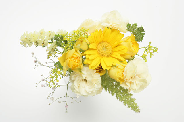 �C���[�W